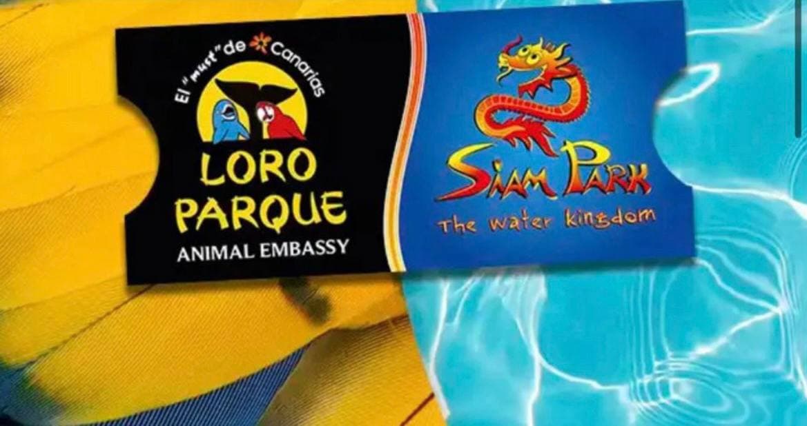 activityPacks.packs.twin-ticket.title